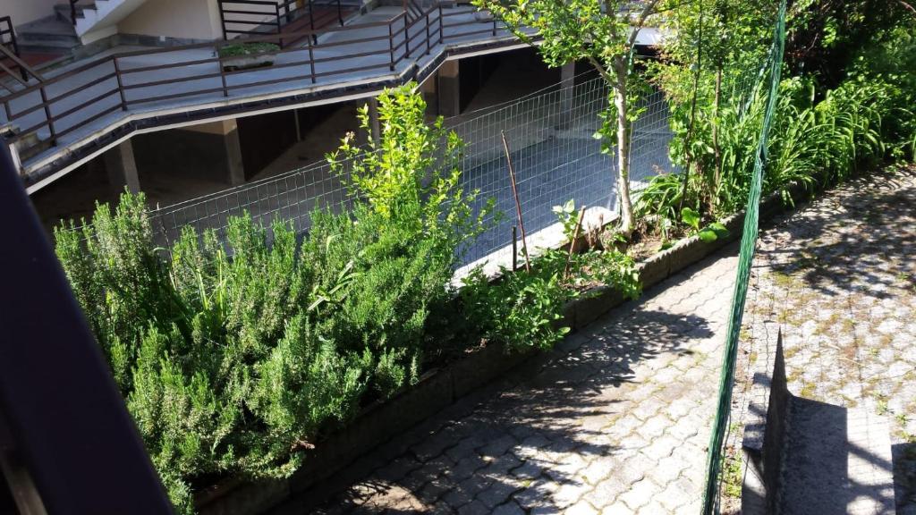 Zahrada ubytování Casa La Forsizia