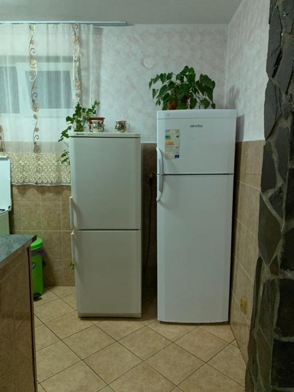 Kuchyň nebo kuchyňský kout v ubytování Pensiunea Robi&Norbi Sovata