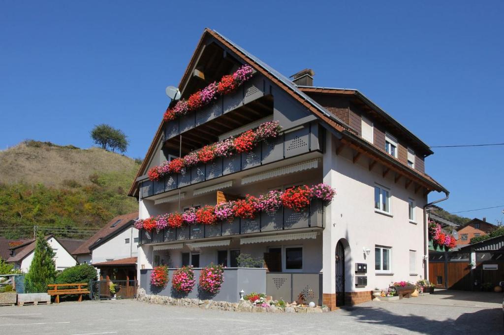 um edifício com caixas de flores ao lado em Zieglers Ferienwohnungen em Schelingen