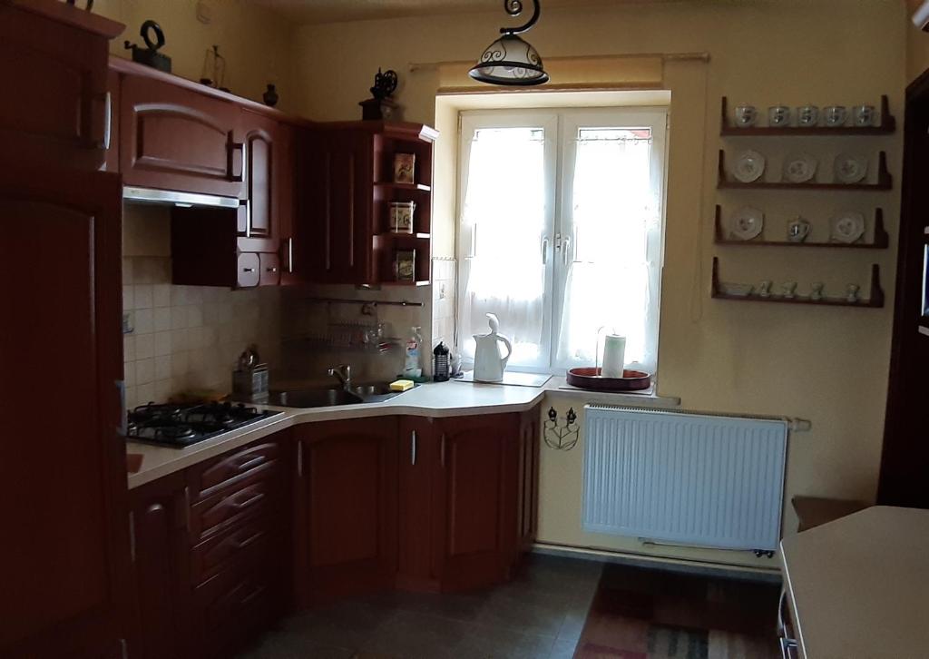 Kuchyňa alebo kuchynka v ubytovaní Dom nad Wisłą