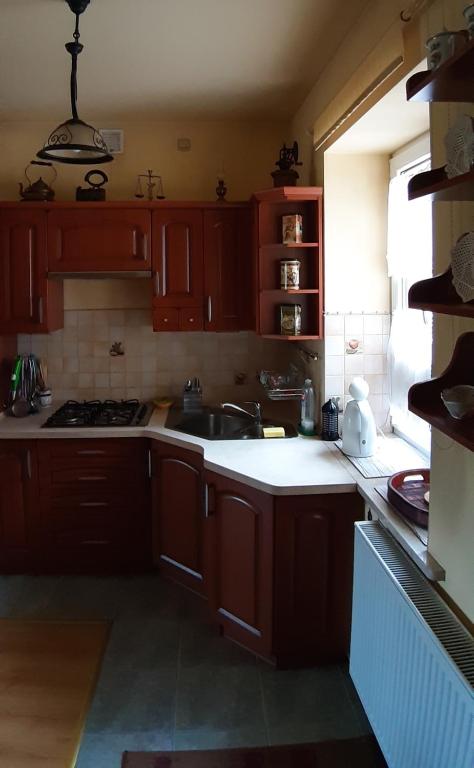 Kuchyňa alebo kuchynka v ubytovaní Dom nad Wisłą