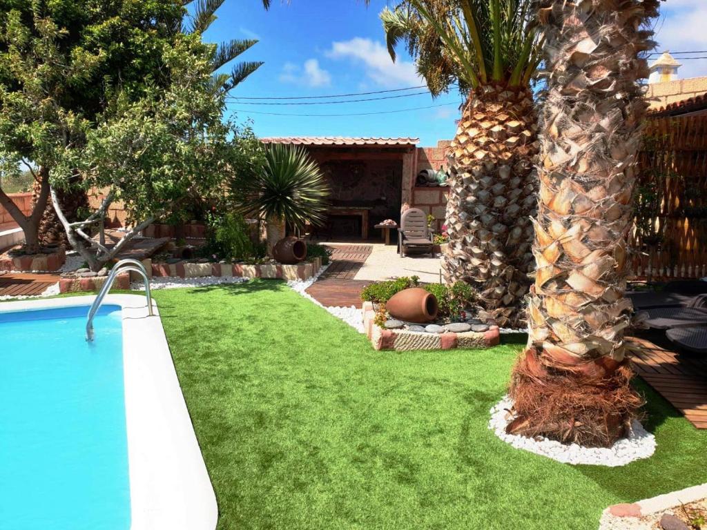 una palmera y una piscina en un patio en Almendro, en Arico Viejo