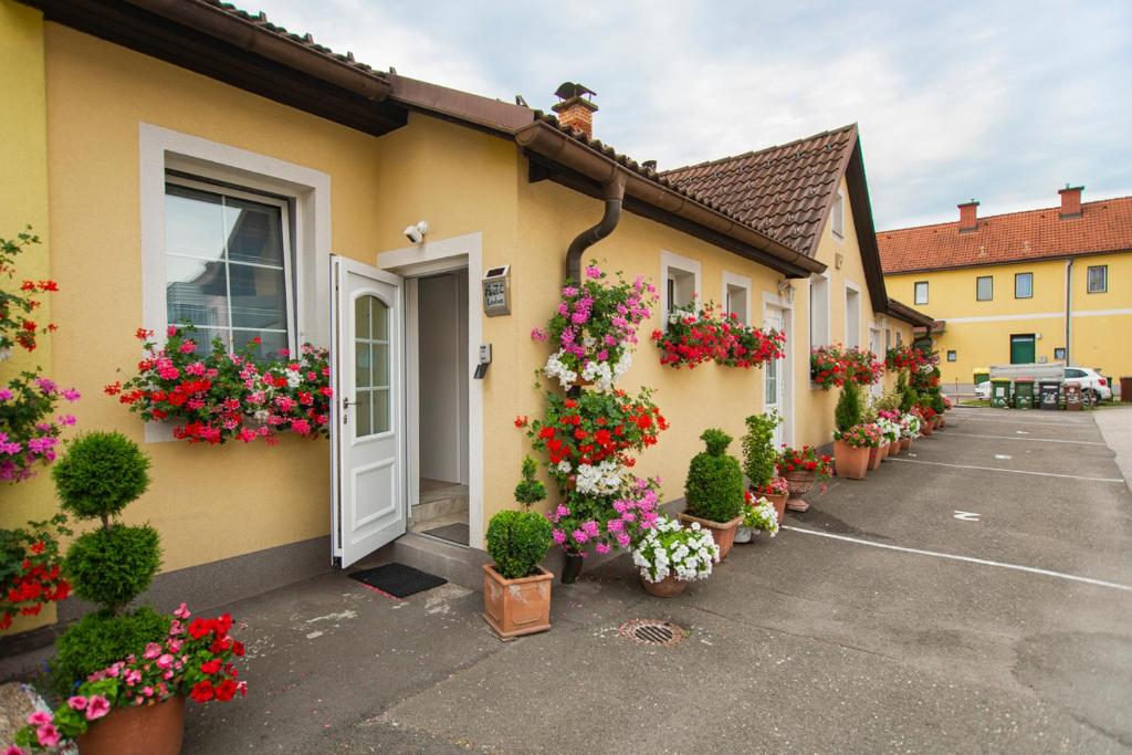 Zahrada ubytování AusZeit Leoben 1 mit Terasse und gratis Parkplatz