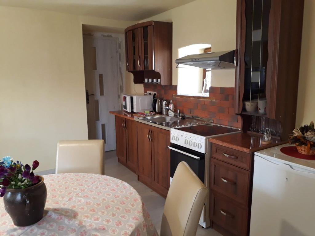 Kuchyň nebo kuchyňský kout v ubytování Apartmány Matilda