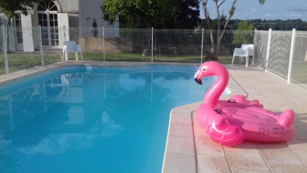 a pink inflatable flamingo in a swimming pool at Les Bastides du Golf d'Albret in Barbaste