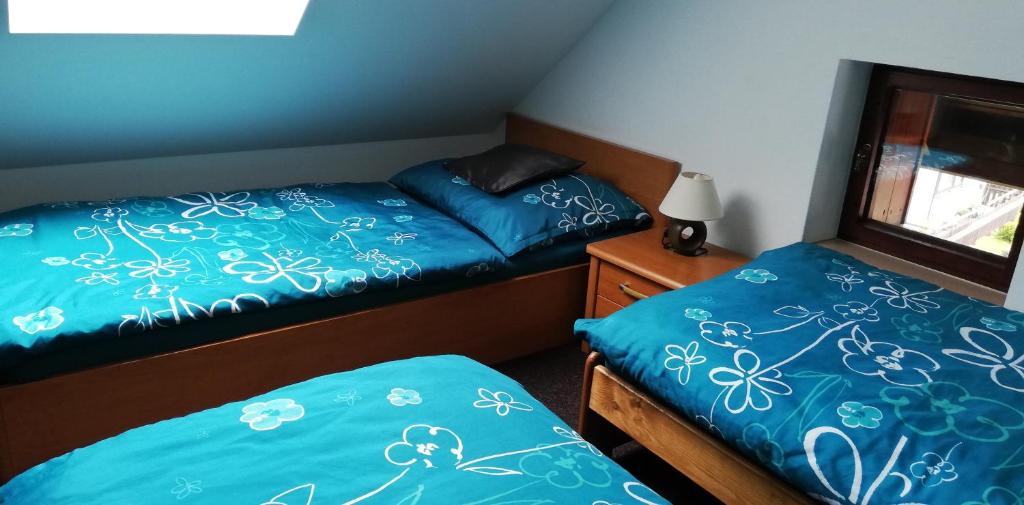 sypialnia z dwoma łóżkami i oknem w obiekcie Apartmány u Jiroušů w Rokitnicach nad Izerą