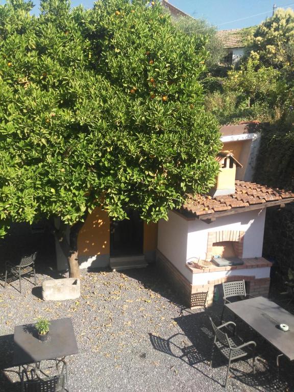 Agriturismo Ardissone Thomas - Studio