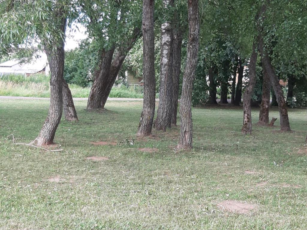 Příroda nedaleko apartmánu