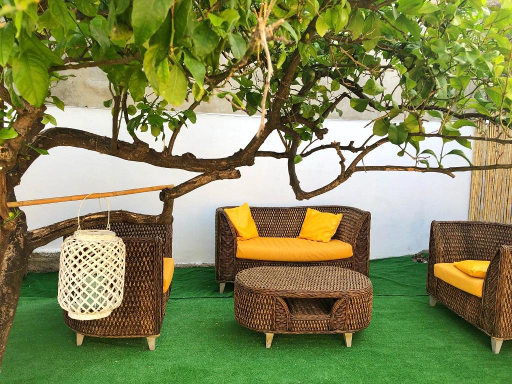 um grupo de cadeiras de vime com almofadas laranja e uma árvore em BnB Le Janas em Càbras