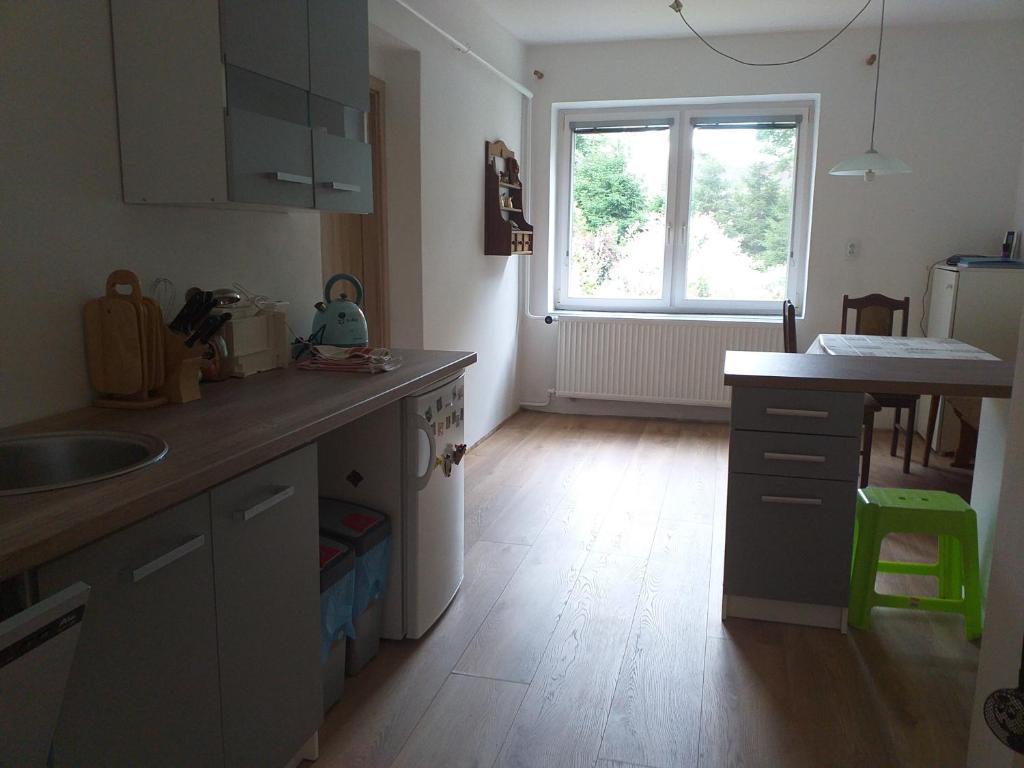 Kuchyň nebo kuchyňský kout v ubytování Apartmán 33