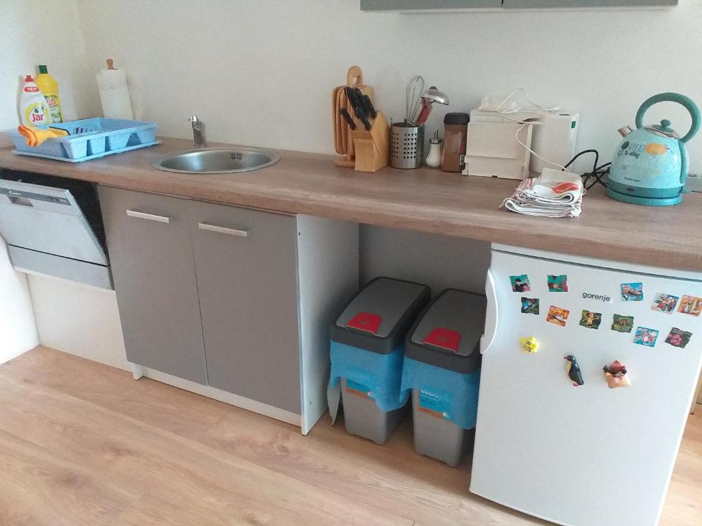 Kuchyň nebo kuchyňský kout v ubytování Apartmán 33