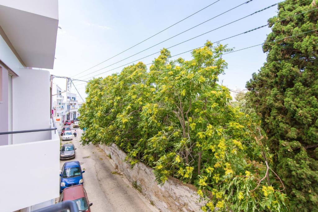 Fotografie z fotogalerie ubytování Flora v destinaci Tinos