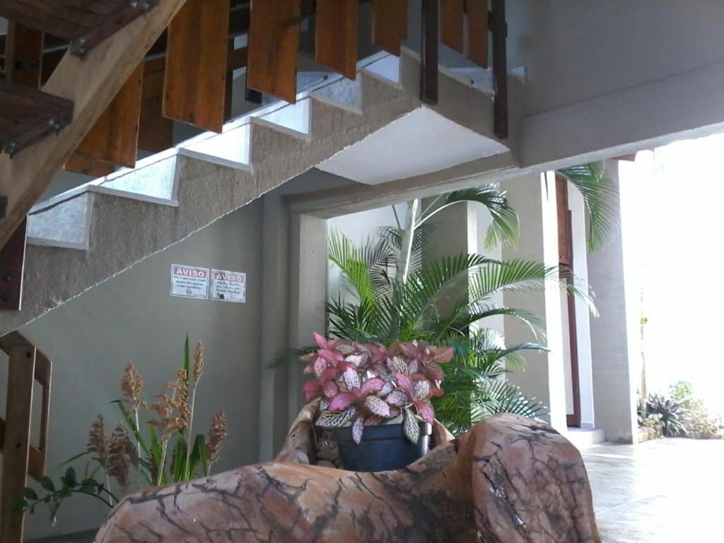 een plant in een pot zittend onder een trap bij Pouso D' Braga in Pirenópolis
