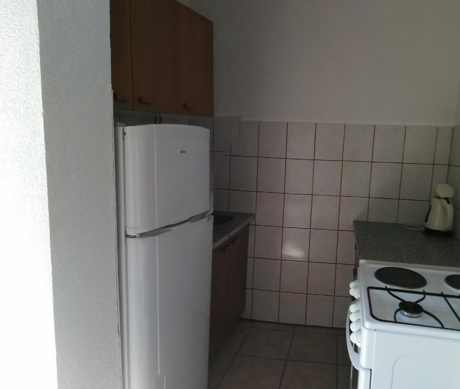 Kuchyňa alebo kuchynka v ubytovaní Apartman Rodić