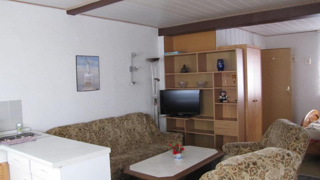 uma sala de estar com dois sofás e uma televisão em Feriendomiziel Läsker em Mittelndorf