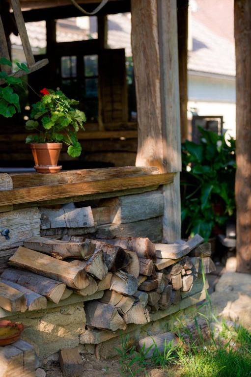 Zahrada ubytování Tourist Farm Firbas