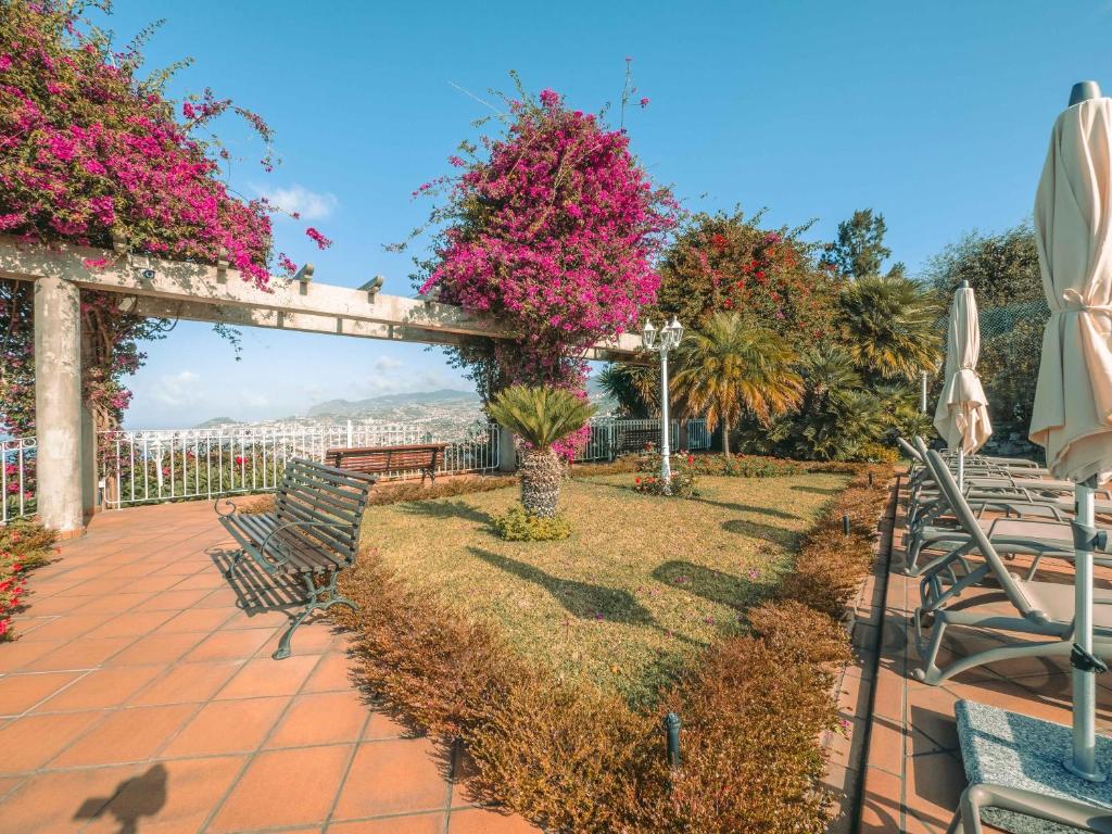 Ocean Gardens - Resim 27