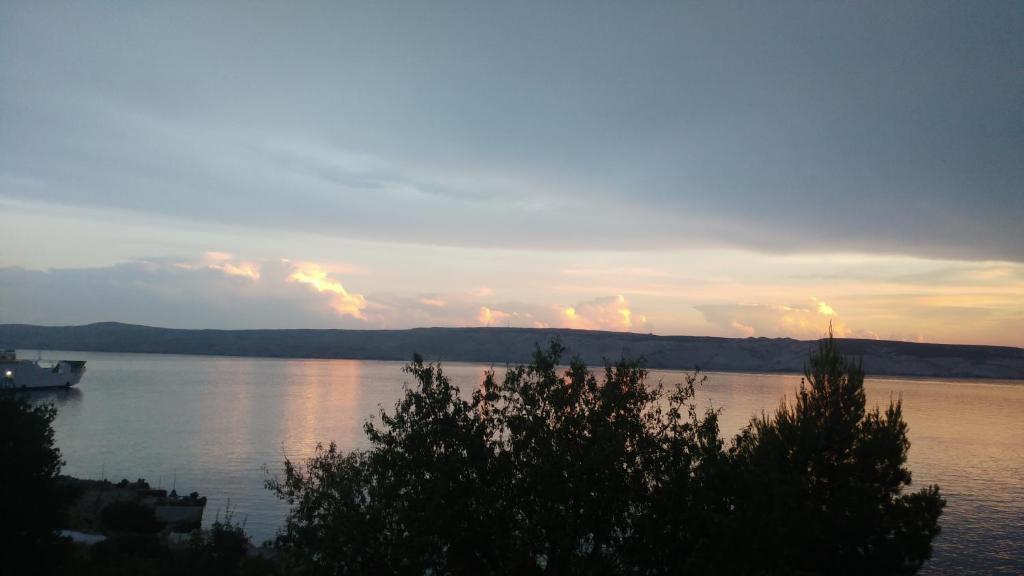 Foto dalla galleria di Villa Franko a Prizna