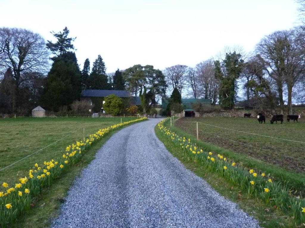 Paesaggio naturale nelle vicinanze of country house