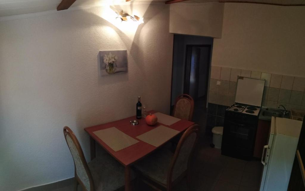Kuchyňa alebo kuchynka v ubytovaní Apartman Rodić