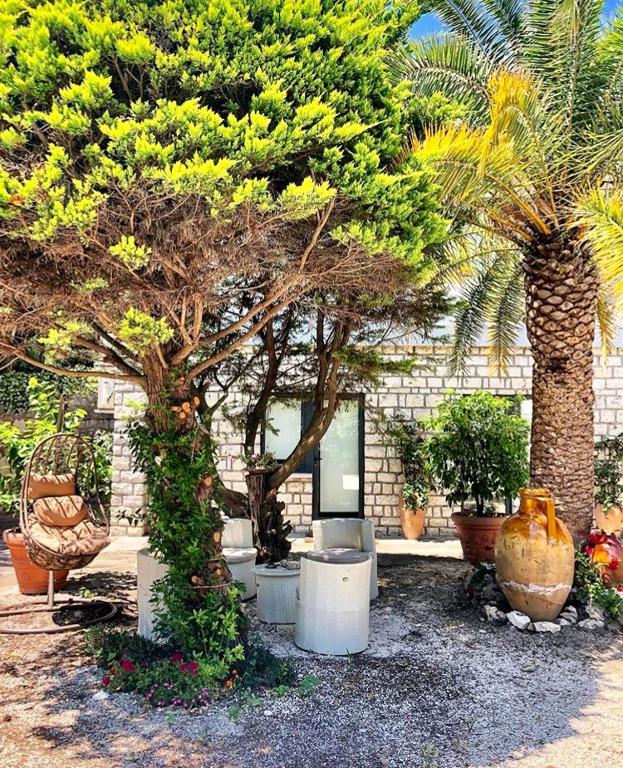 Zahrada ubytování Le due palme Bed & Breakfast