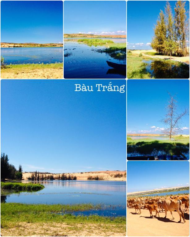 a collage of four pictures with a dog running across a lake at Homestay BONO Mũi Né in Phan Thiet
