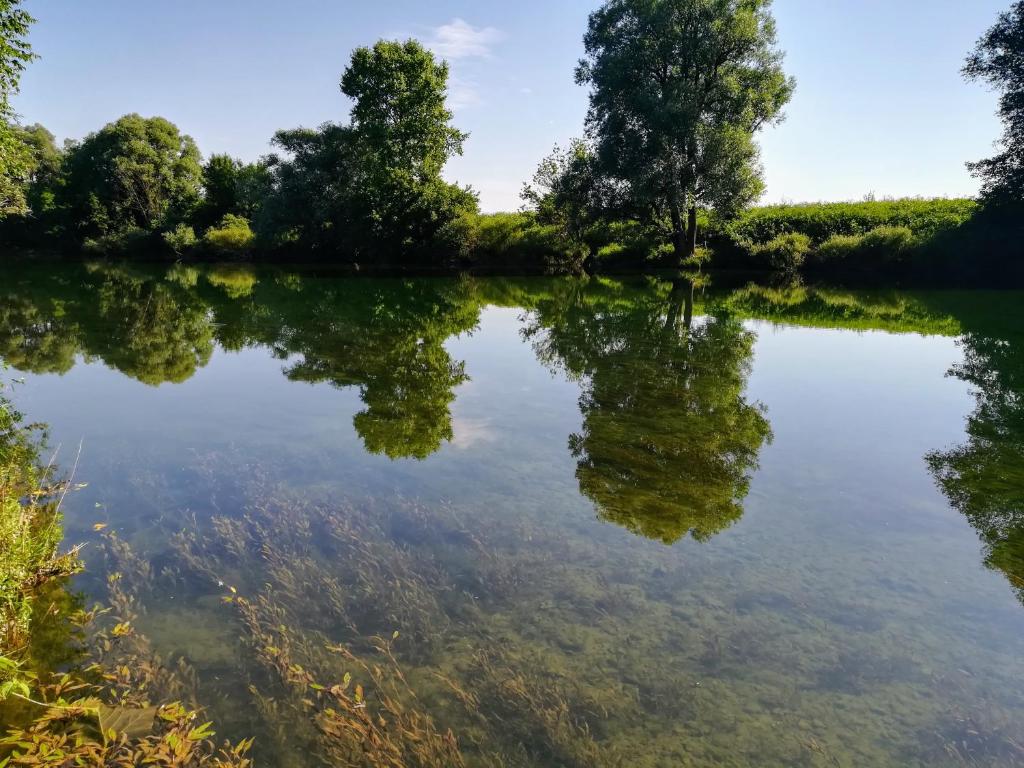 Příroda nedaleko apartmánu