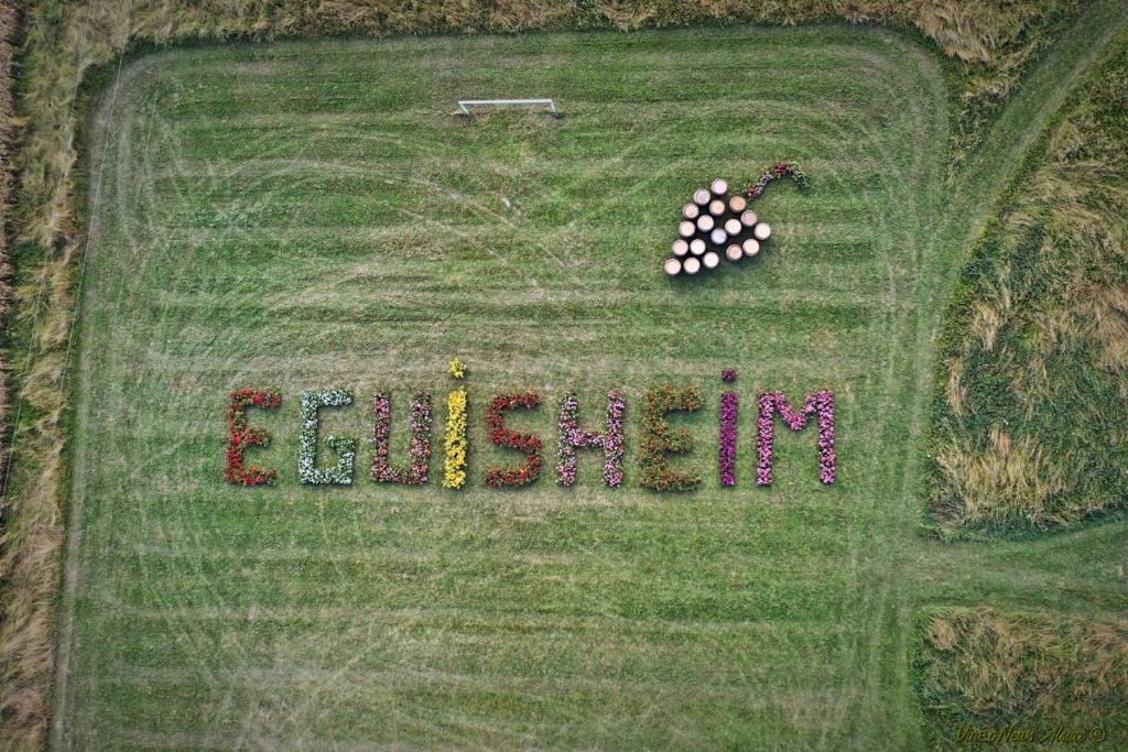 Gite St Léon à Eguisheim – photo 39