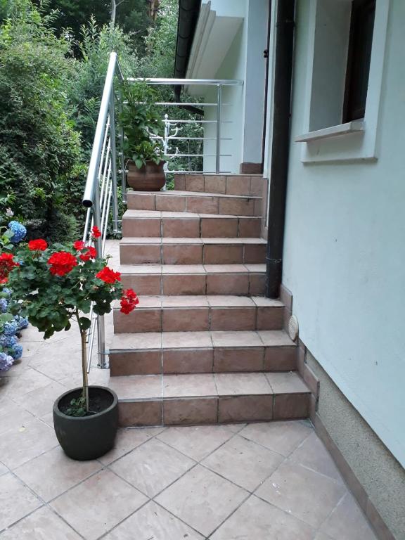 a set of stairs with red flowers in a pot at Apartma Dolomiti in Ljubljana