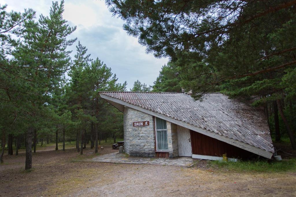 Příroda nedaleko kempu