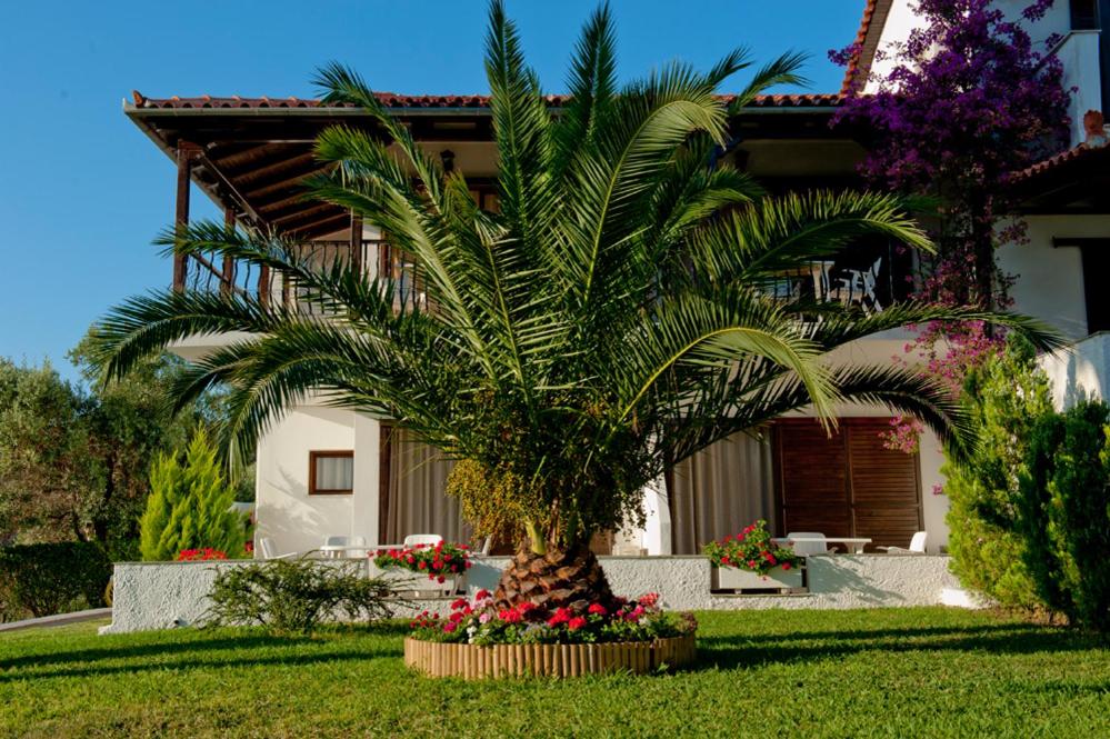 a palm tree in front of a house at Villa Anna Maria in Agia Paraskevi