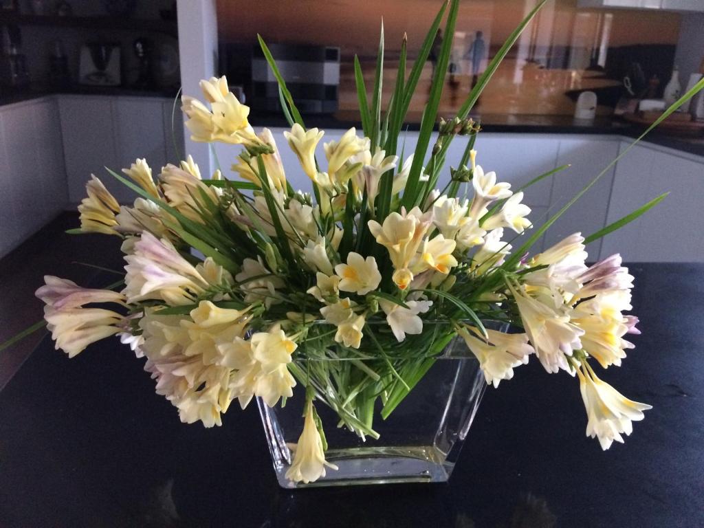 Foto dalla galleria di ON Keppies - BnB - Family Farm & Wedding Guest Accommodation Paterson NSW a Paterson