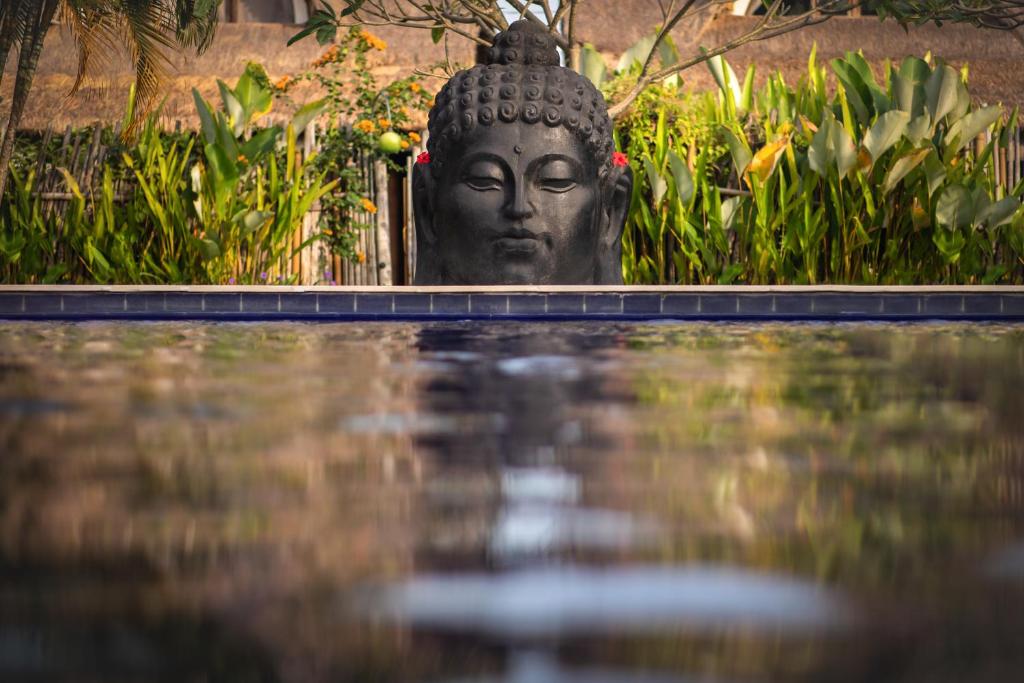 United Colors of Bali - 11