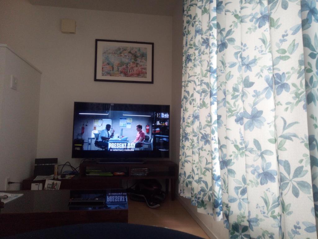 TV a/nebo společenská místnost v ubytování Private room in new House