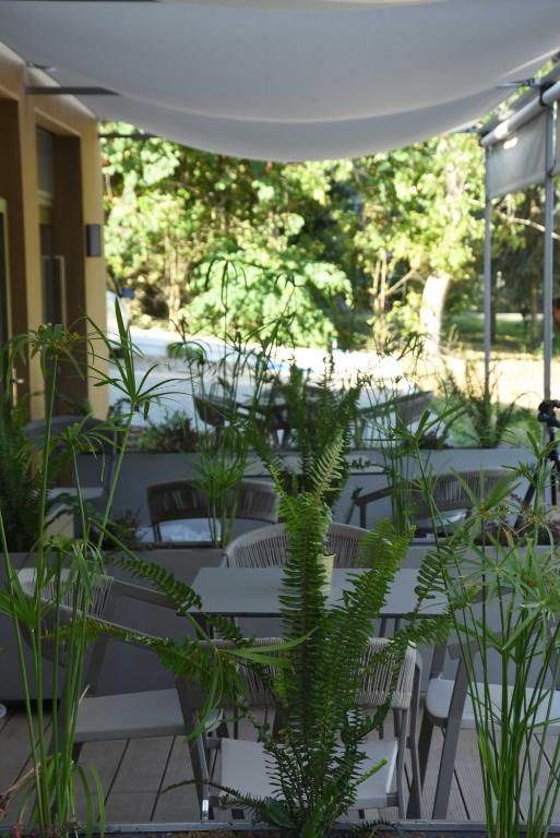 Gallery image of Sani More in Sani Beach