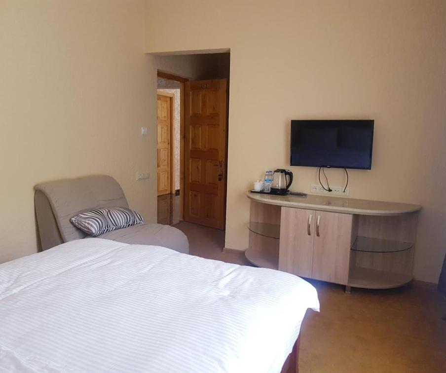 TV a/nebo společenská místnost v ubytování Hotel Iveria