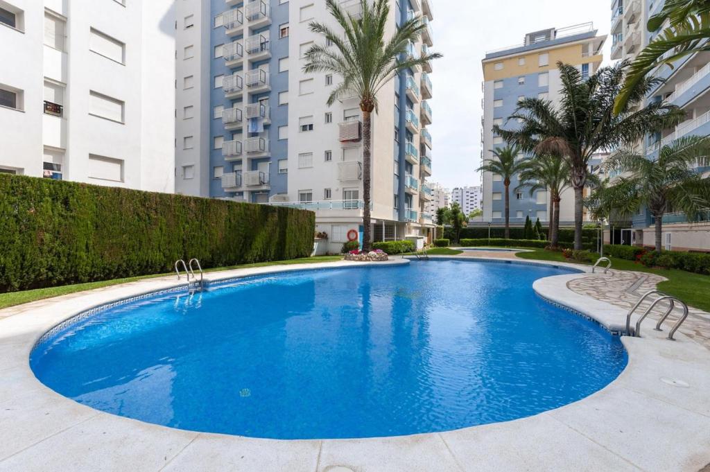 a large blue swimming pool with palm trees and buildings at Coralina in Gandía