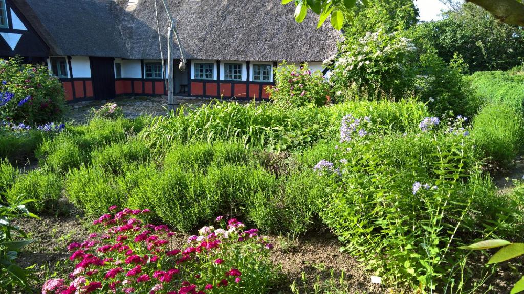 Zahrada ubytování Thurup Hus