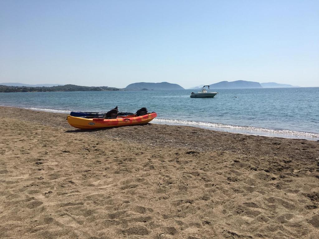 Príroda v okolí vily