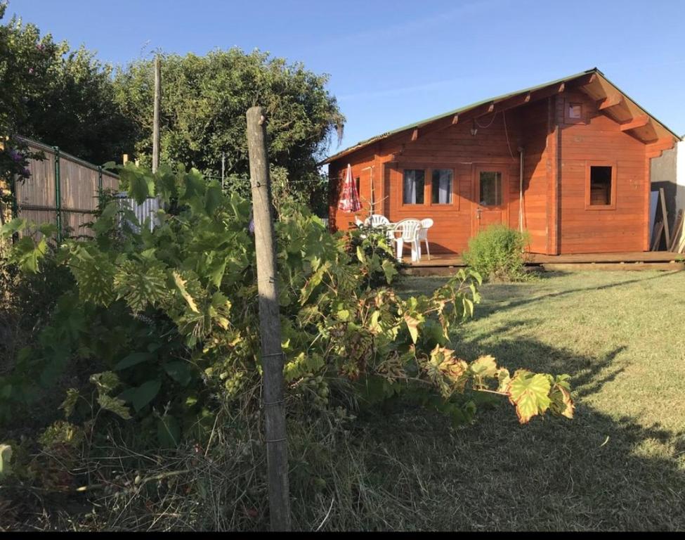 une petite cabane en bois dans une cour avec une clôture dans l'établissement un Chalet avec jardin à 1km de la mer, à Saint-Froult