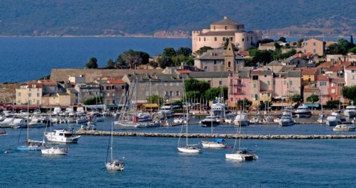 un grupo de barcos en el agua en un puerto en Appartement plein centre Saint Florent face au port en Saint-Florent