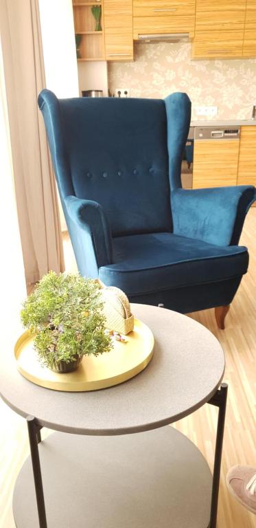 niebieskie krzesło i stół z rośliną w obiekcie Complex we Wrocławiu