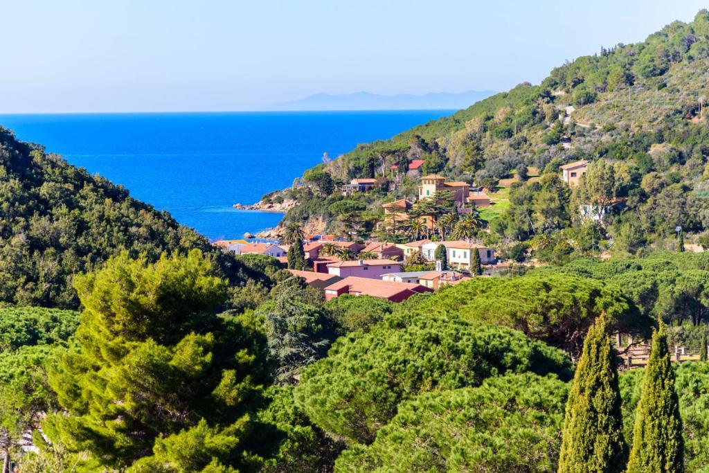 a village on a hill with the ocean in the background at Appartamento Il Mare in Cartolina in Rio nellʼElba