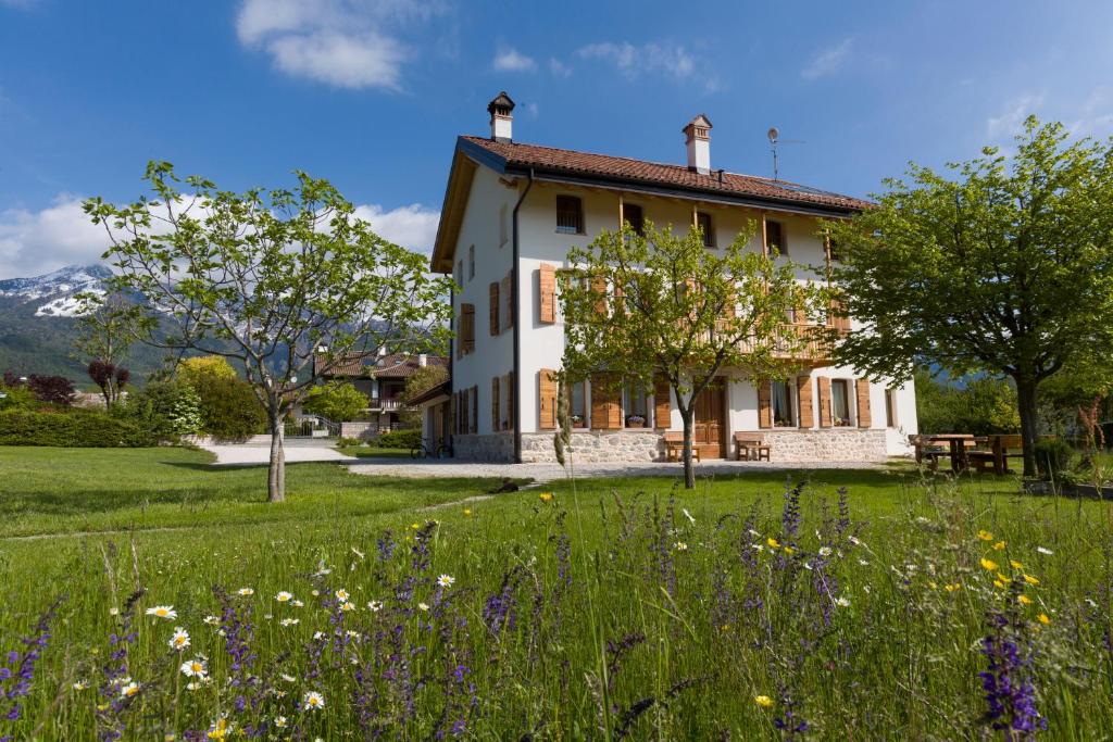 a house with a field of flowers at lioelara in Feltre