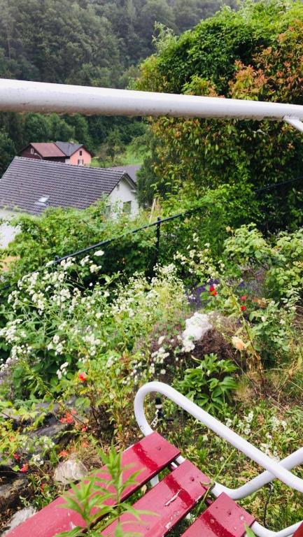 Zahrada ubytování Alpen Panorama view Luxury House with green Garden