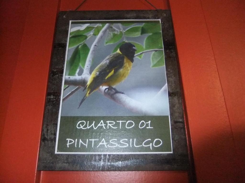  Eco Pousada Passaredo