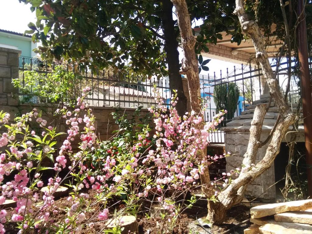 a garden with pink flowers in front of a fence at Apartments villa MaVeRo in Banjole