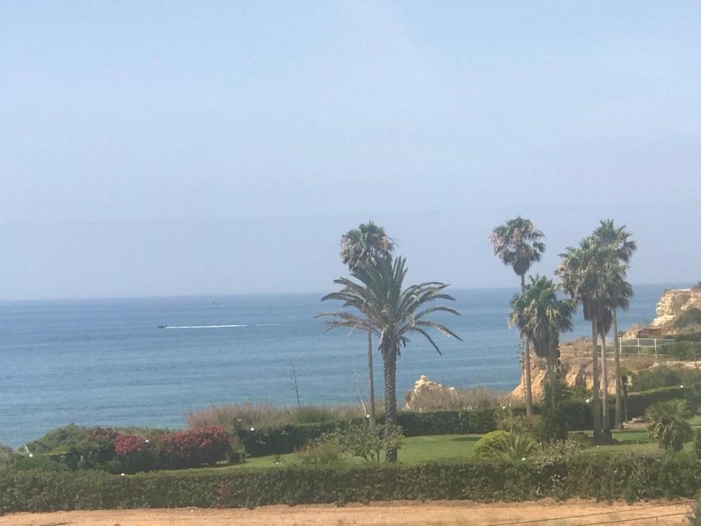 Armação de Pêra'daki Torre Mar tesisine ait fotoğraf galerisinden bir görsel