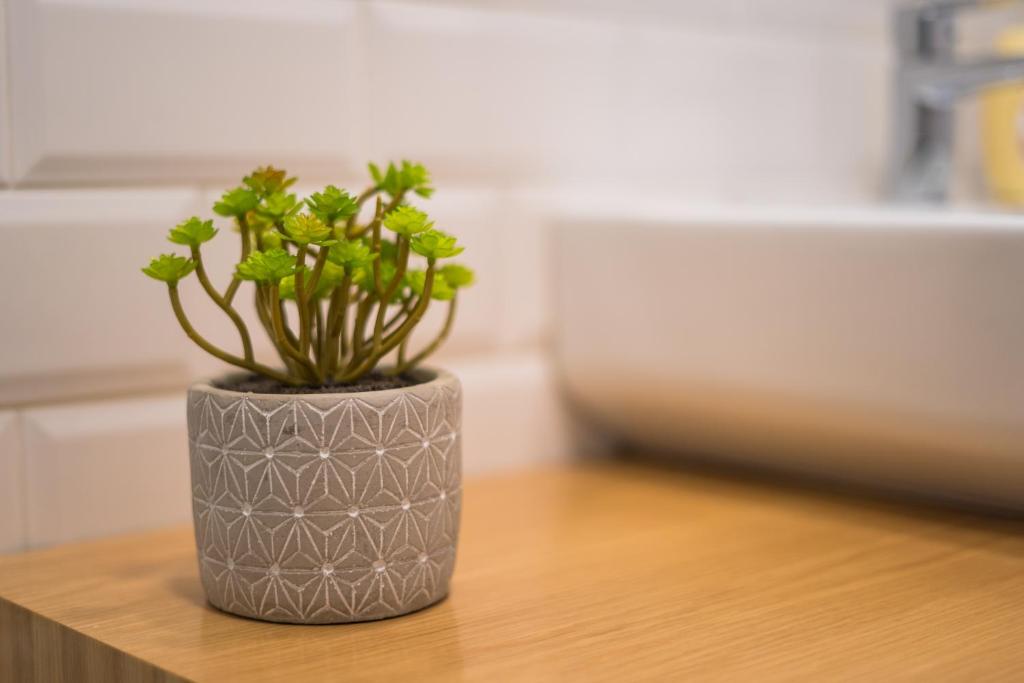 Funchal Village Studios - 11