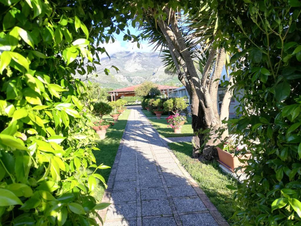 einen Gartenweg mit Bäumen und einem Berg im Hintergrund in der Unterkunft Saturnia Garden B&B in Spigno Saturnia